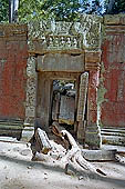 Ta Prohm temple